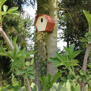 Vogelhuisjes en vogelvoer