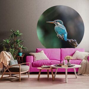 Wallart Behangcirkel The Kingfisher 42,5 Cm 1 Ø 142.5 cm