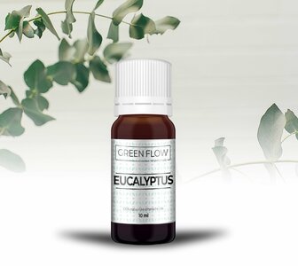 Eucalyptus - 10 Ml - 100% Natuurzuivere Etherische Olie