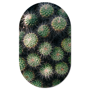 Muurovaal Cactus M - 90 x 55 cm