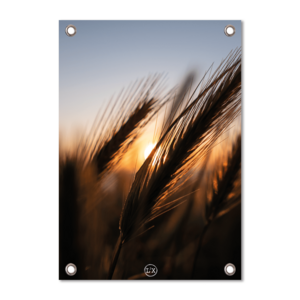 Tuinposter Grass A1