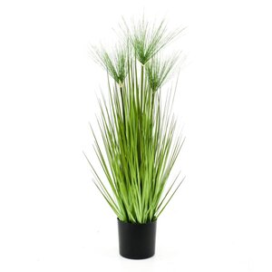 Emerald Kunstplant In Pot Haspan Cyperus 75 Cm