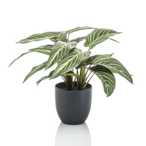 Emerald Kunstplant In Pot Zebrina Calathea 38 Cm