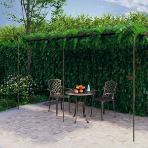 Tuinpergola Ijzer Antiekbruin 6 x 3 x 2,5 m