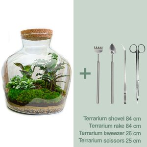 Diy Terrarium -  Fat Joe - ↕ 30 Cm DIY terrarium -  Fat Joe - ↕ 30 cm - Rake + Shovel + Tweezer + Scissors