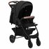 Kinderwagen 2-In-1 Staal Antracietkleurig_