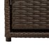 Tuinkast 110X55X60,5 Cm Poly Rattan Bruin_