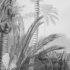 Komar Fotobehang Lac Tropical Black & White 200X270 Cm_