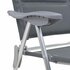 Campingstoelen 58X69X111 Cm Aluminium St Grijs_