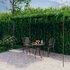 Tuinpergola Ijzer Antiekbruin 6 x 3 x 2,5 m_