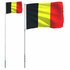 Vlag Met Vlaggenmast België 5,55 M Aluminium_