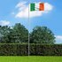 Vlag 90X150 Cm Alleen vlag Ierland_