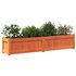 Plantenbak 50X3X3 Cm Massief Grenenhout Wasbruin 1 Bruingrenen_