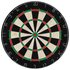 Dartbord Professioneel Met Kast En 6 Darts Sisal_