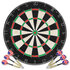 Dartbord Professioneel Met 6 Darts En Surround Sisal_