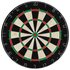 Dartbord Professioneel Met 6 Darts En Surround Sisal_