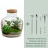 Diy Terrarium -  Fat Joe - ↕ 30 Cm DIY terrarium -  Fat Joe - ↕ 30 cm - Rake + Shovel + Tweezer + Scissors_