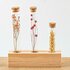 Wooden Dried Flower Stand - Tube M - Flowers And Herbs + Dried Floral Arrangement_