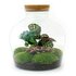 Diy Terrarium - Fat Joe Coffea - ↕ 30 Cm DIY terrarium - Fat Joe Coffea - ↕ 30 cm - Normal_