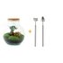 Diy Terrarium - Teddy Bonsai - ↕ 26,5 Cm DIY terrarium - Teddy bonsai - ↕ 26,5 cm - Rake + Shovel_