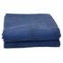 Kampeerkleed 4x2,5 m blauw_