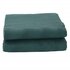 Kampeerkleed 5x2,5 m groen_