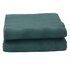 Kampeerkleed 6x2,5 m groen_